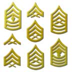 Enlisted 22k Gold Collar Ranks